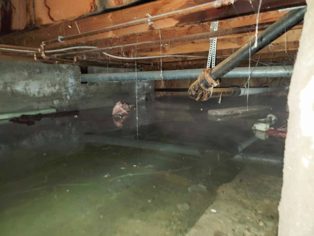 Best Local water damage restoration  in New Castle, DE