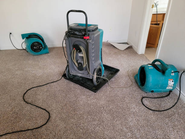 Best Water damage cleanup near me  in New Castle, DE