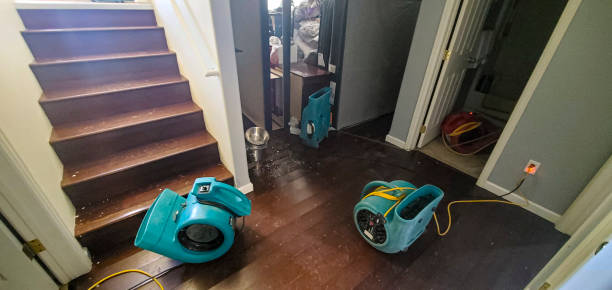 Best Residential water damage restoration  in New Castle, DE