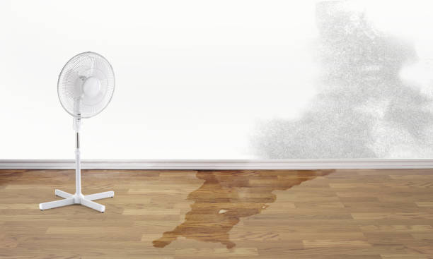 Best Water damage restoration cost  in New Castle, DE