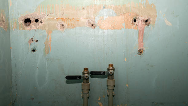 Best Sewage cleanup and water damage restoration  in New Castle, DE